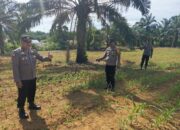 Polsek Bagan Sinembah Cek Pertumbuhan Jagung Pipil, Wujud Dukungan Ketahanan Pangan Nasional