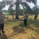 Polsek Bagan Sinembah Cek Pertumbuhan Jagung Pipil, Wujud Dukungan Ketahanan Pangan Nasional